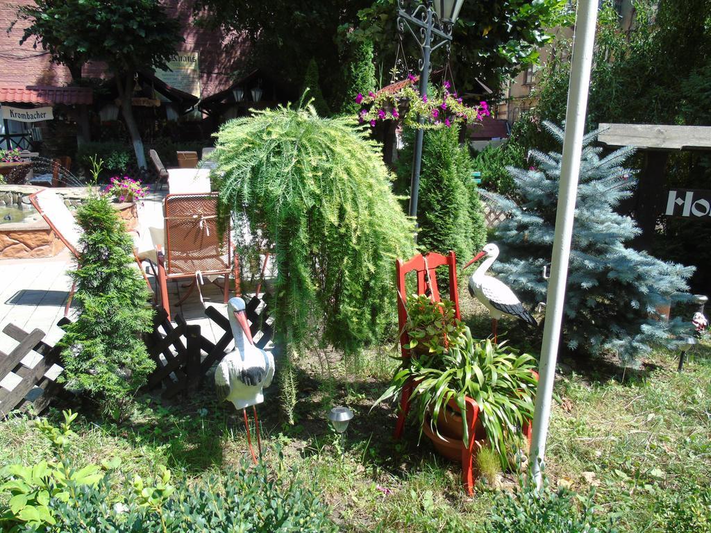 Knaus Apartments TTchernivtsi Extérieur photo